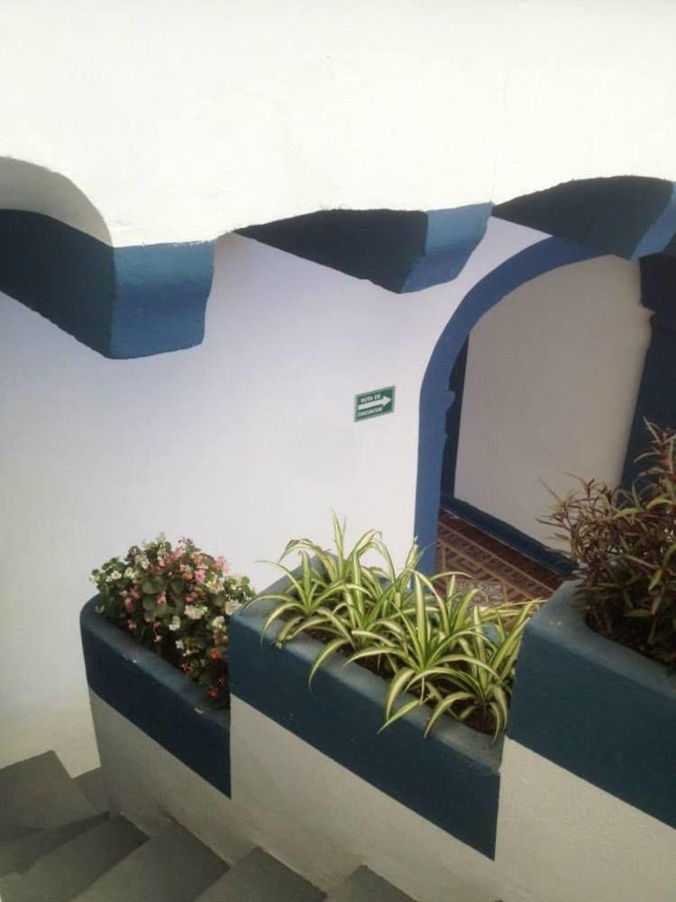 Blue Bicycle House Vandrarhem Querétaro Exteriör bild